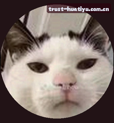 孙杰